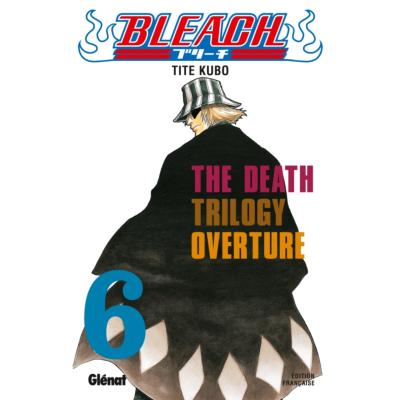 Bleach T06