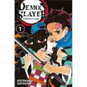 Demon Slayer Tome 01